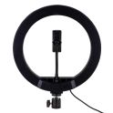 Купить ЛАМПА RGB MJ26 26CM_4