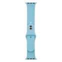 Купить РЕМЕШОК ДЛЯ APPLE WATCH BAND SILICONE ONE-PIECE SIZE-S 38/40/41 MM_61