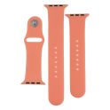 Купить РЕМЕШОК ДЛЯ APPLE WATCH BAND SILICONE TWO-PIECE 42/44/45/49 MM_28