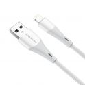 Купить USB BOROFONE BX60 SUPERIOR  LIGHTNING 2.4A_1