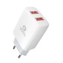 Купить СЕТЕВОЕ ЗАРЯДНОЕ УСТРОЙСТВО RIDEA RW-21011 ELEMENT DUO 2USB 2.1 A_2