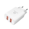 Купить СЕТЕВОЕ ЗАРЯДНОЕ УСТРОЙСТВО RIDEA RW-21011 ELEMENT DUO 2USB 2.1 A_4