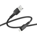 Купить USB RIDEA RC-M131 PRIMA 12W LIGHTNING_7