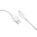 Купить USB RIDEA RC-M131 PRIMA 12W LIGHTNING_4