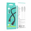 Купить USB BOROFONE BX81 PD TYPE-C TO LIGHTNING_1