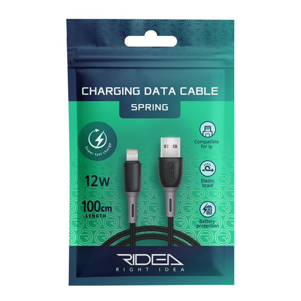 Купить USB RIDEA RC-M133 SPRING 12W LIGHTNING_1
