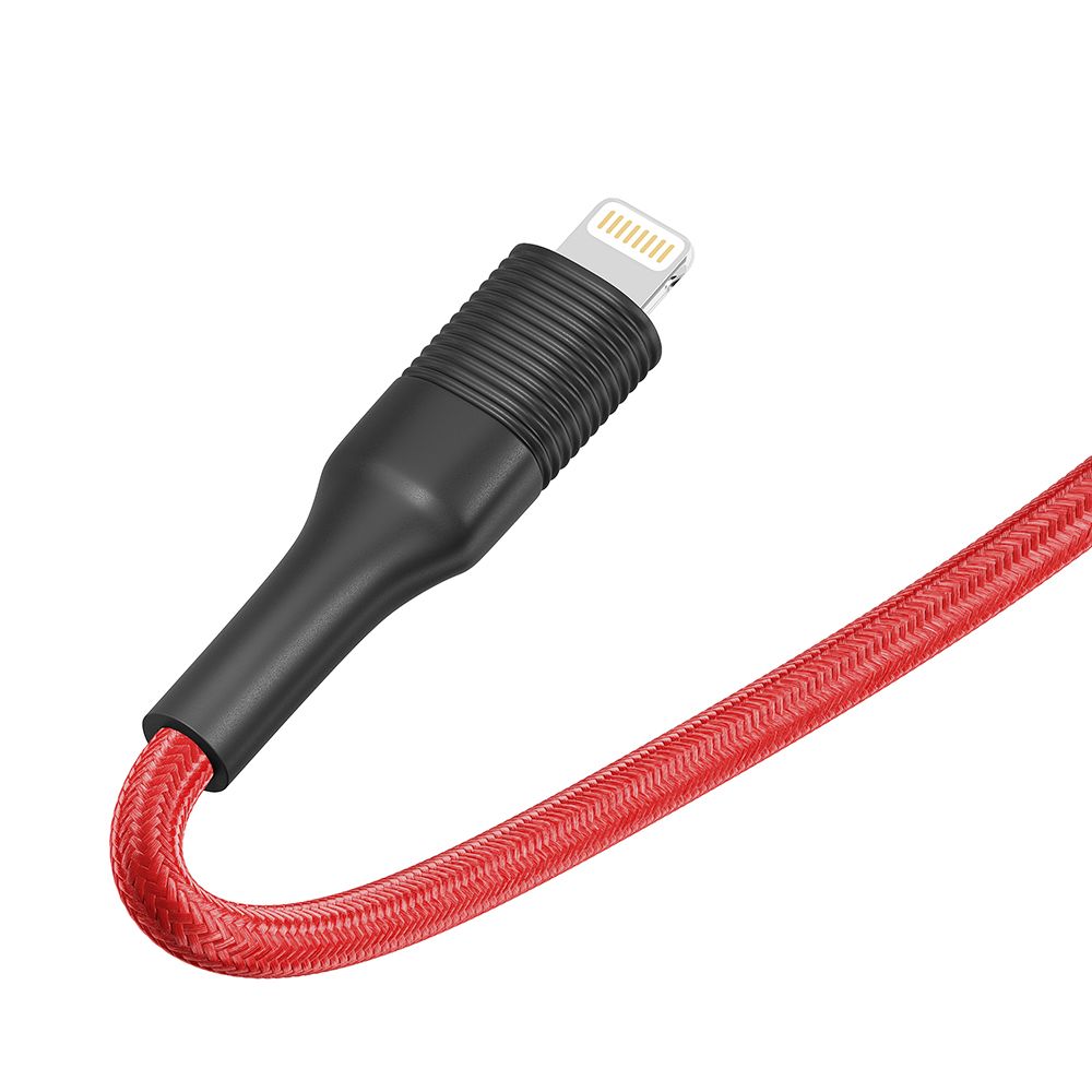 Купить USB RIDEA RC-M132 FILA 12W LIGHTNING_10
