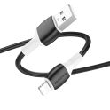 Купить USB BOROFONE BX84 LIGHTNING 2.4A_4