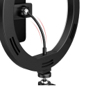 Купить ЛАМПА RGB CRYSTAL RD-33 33CM_3
